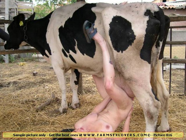 Girl Fuck Cow Pictures Xxx Photo