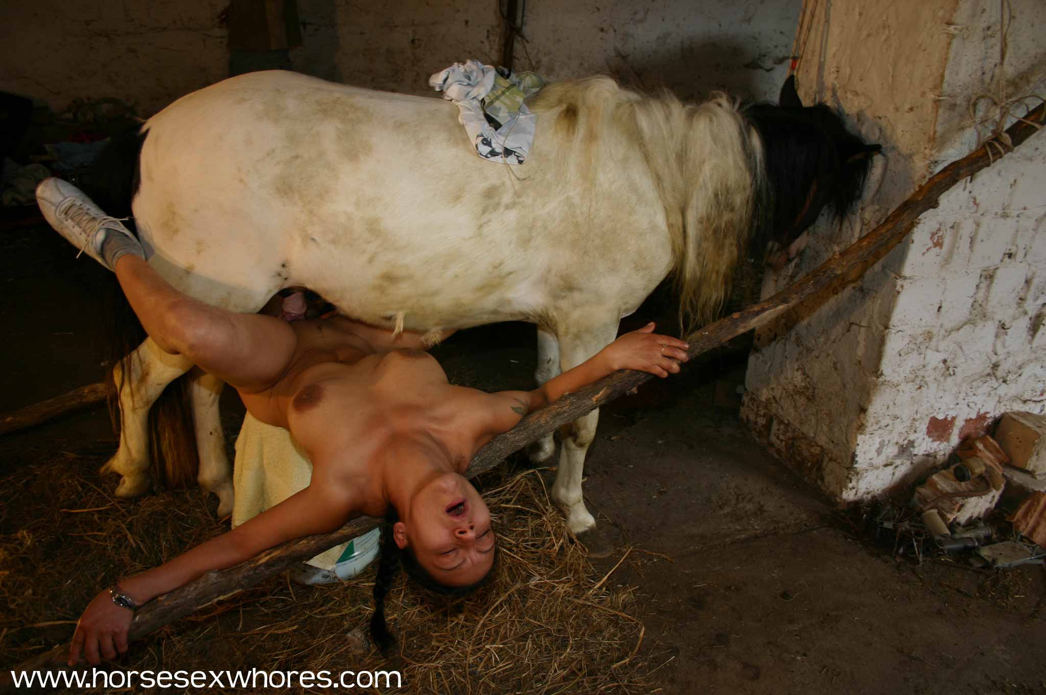 http://animal.live-sex-porn.com/hsw/zoosex-01d/horsesexwhores5-009.jpg