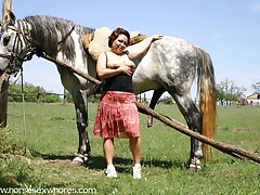 Busty slut sucking a great horse cock on farm