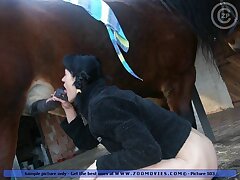 Extreme closeups of whore pussy fucked by horse