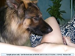 Huge dog licking sweet pussy girl to her fuck