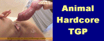 animalhardcoretgp.com