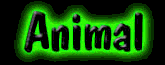 animalsexking.com