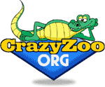 CrazyZoo.org