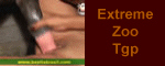 Extreme Zoo Tgp