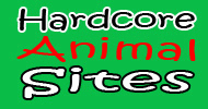hardcore-animalsex-avs.info