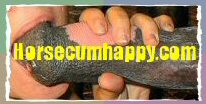 horsecumhappy.com