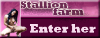 stallion-farm.com