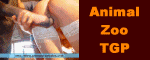 xxxzoosex.org