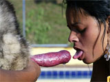 zoo sex jpg