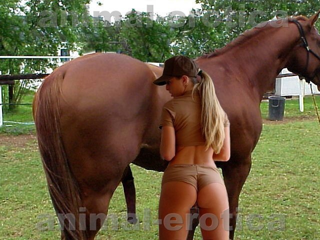 ZOO SEX. Huge stallion in passion with very horny beauty