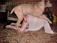 dog sex