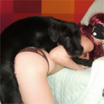 bestiality sex