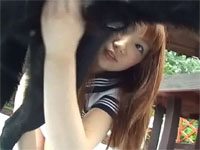 animal sex pic