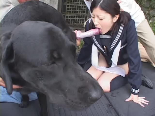 Dog lady asan seks Asian Dog