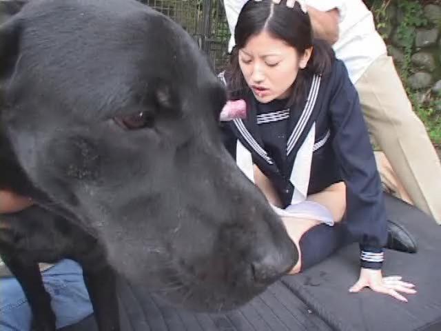 Zoo Girl Dog Sex Tumblr - ZOO SEX. Horny asian teen love to blowjob for big dog cock