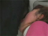 dog sex pic