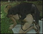dog sex pic