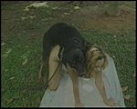 bestiality sex pic