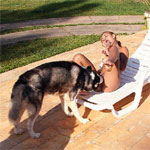 dog sex pic