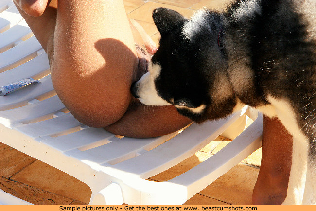 Geile hond likken Cute Amateur Girl kut en kont