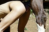 dog sex jpg