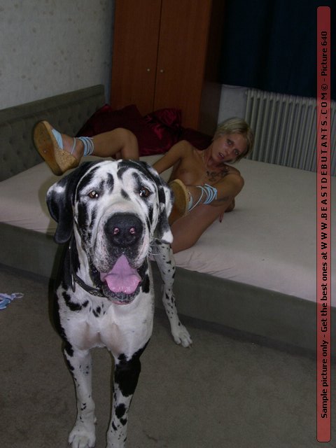 Ainmal Sex Girls House - Animal Live Sex Porn :: Younger blonde fucked with huge dog in its house