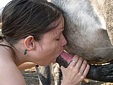 animal sex pic