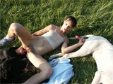 bestiality sex pic