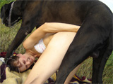 dog sex pic