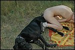 beast sex pic