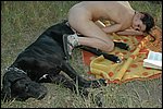 dog sex pic