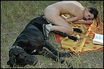 animal sex pic