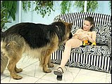 zoo sex pic