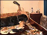 dog sex jpg