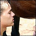 dog sex pic