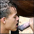 zoo sex pic