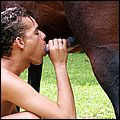dog sex pic