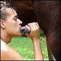 dog sex pic