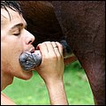 bestiality sex pic