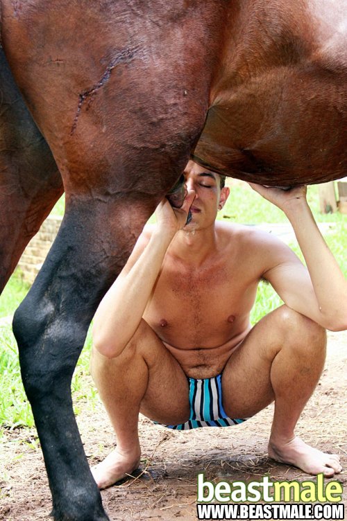 Gay Dog Sex - ZOO SEX. Nice farm gay fucked by massive gray horse cock