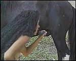 horse sex pic