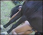 brazilian zoo sex pic