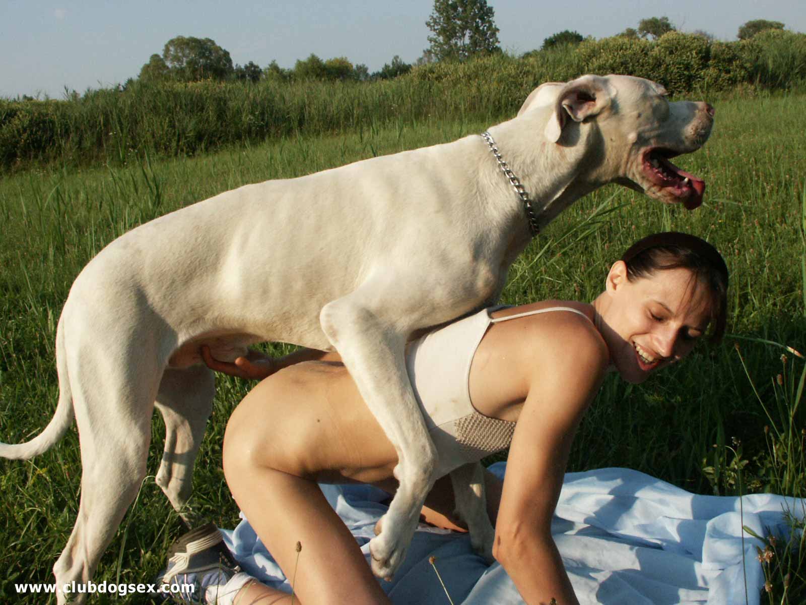 Dogsex.com