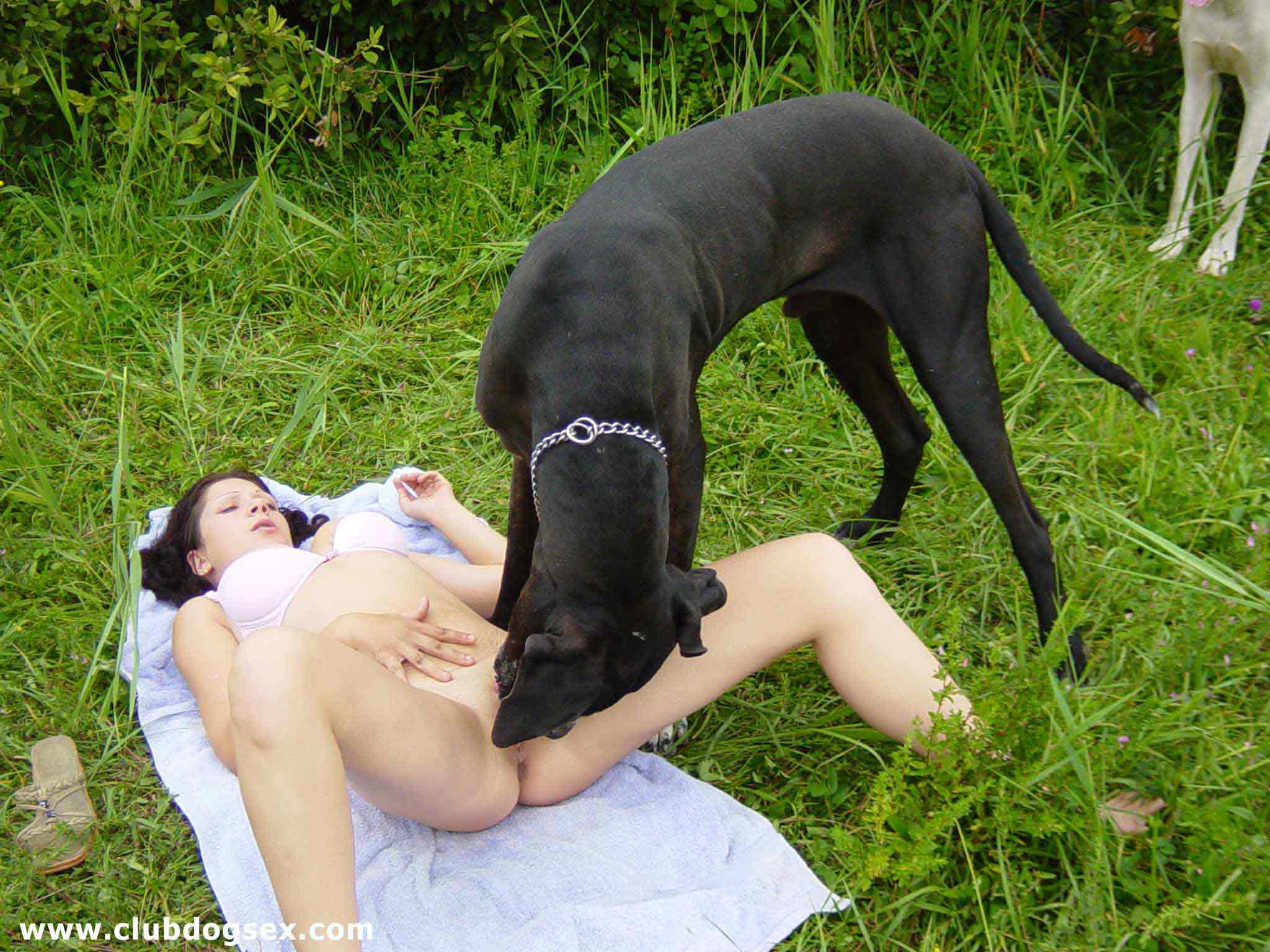 Sex girl and dog hard sex (173) фото