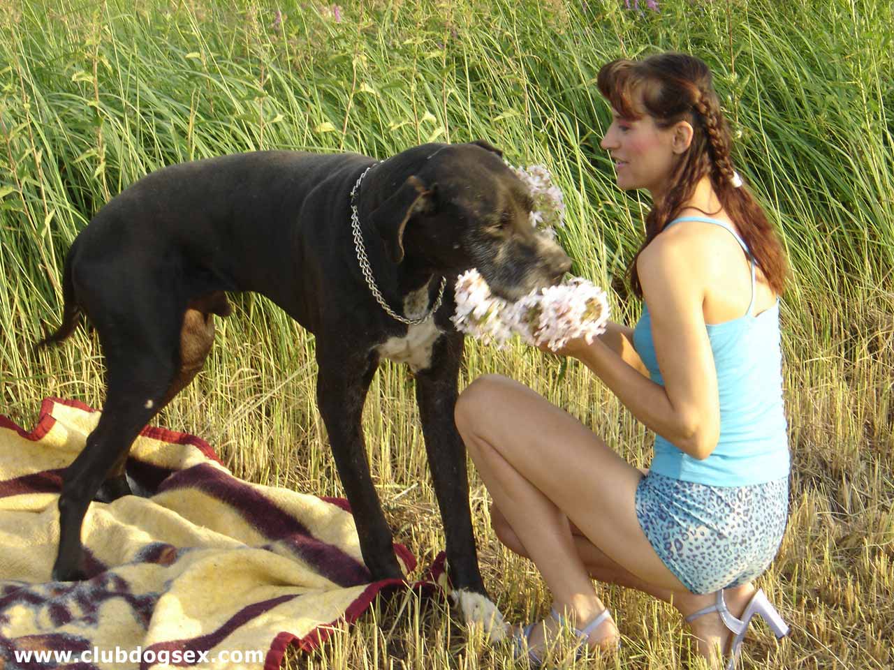 Woman sex animal