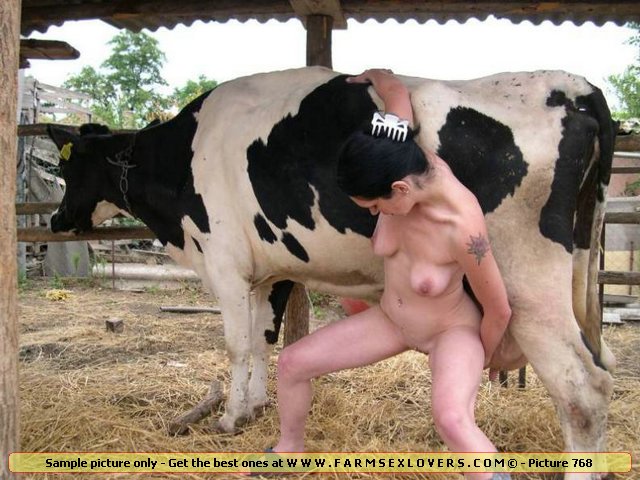 Animal Sex Cow Porn - Animal Live Sex Porn :: Farm sluts take rose cow udder in cunt and ass