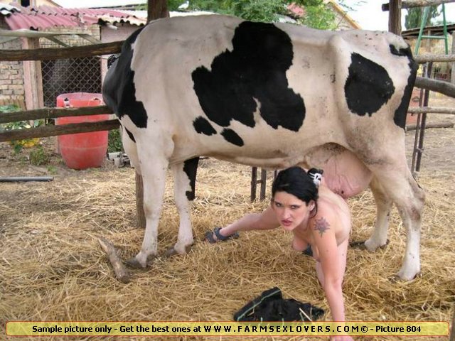 Www Sxe Cow - Animal Live Sex Porn :: Sexy slut fucked by cow udder in her shaved pussy