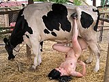 animal sex pic