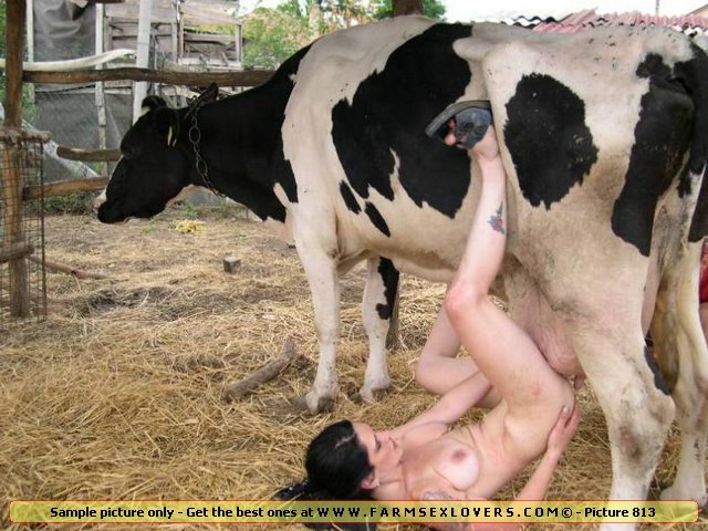 Xxx Conw - Animal Extreme Sex Porn :: Sexy slut inserts cow udder in her bold pussy